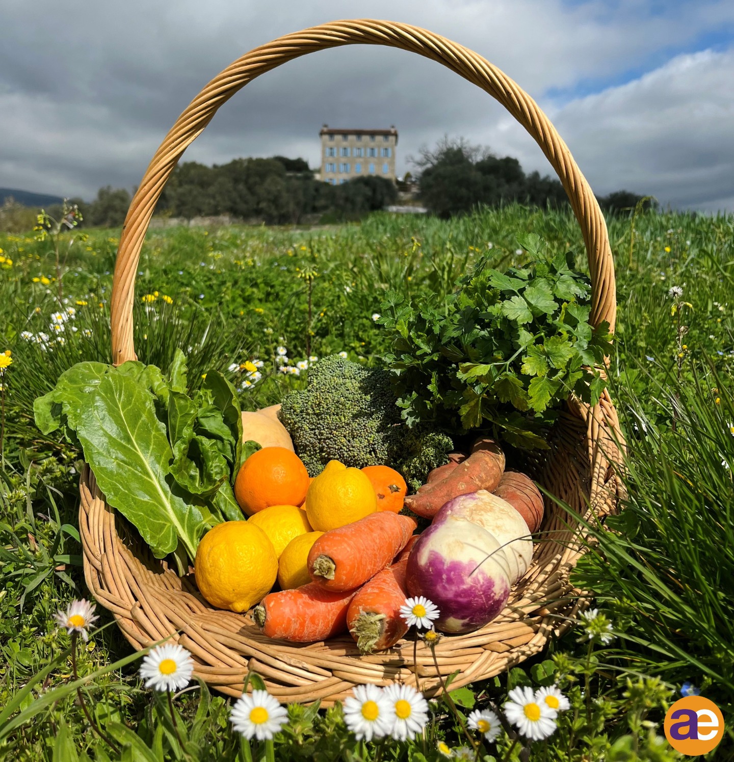 431178005_713385894302920_4417509037477704661_n