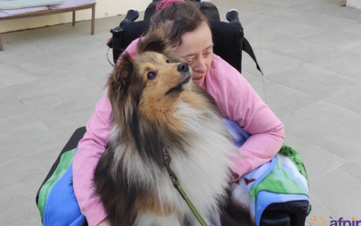 Rencontre inoubliable avec nos amis à quatre pattes à Riou !