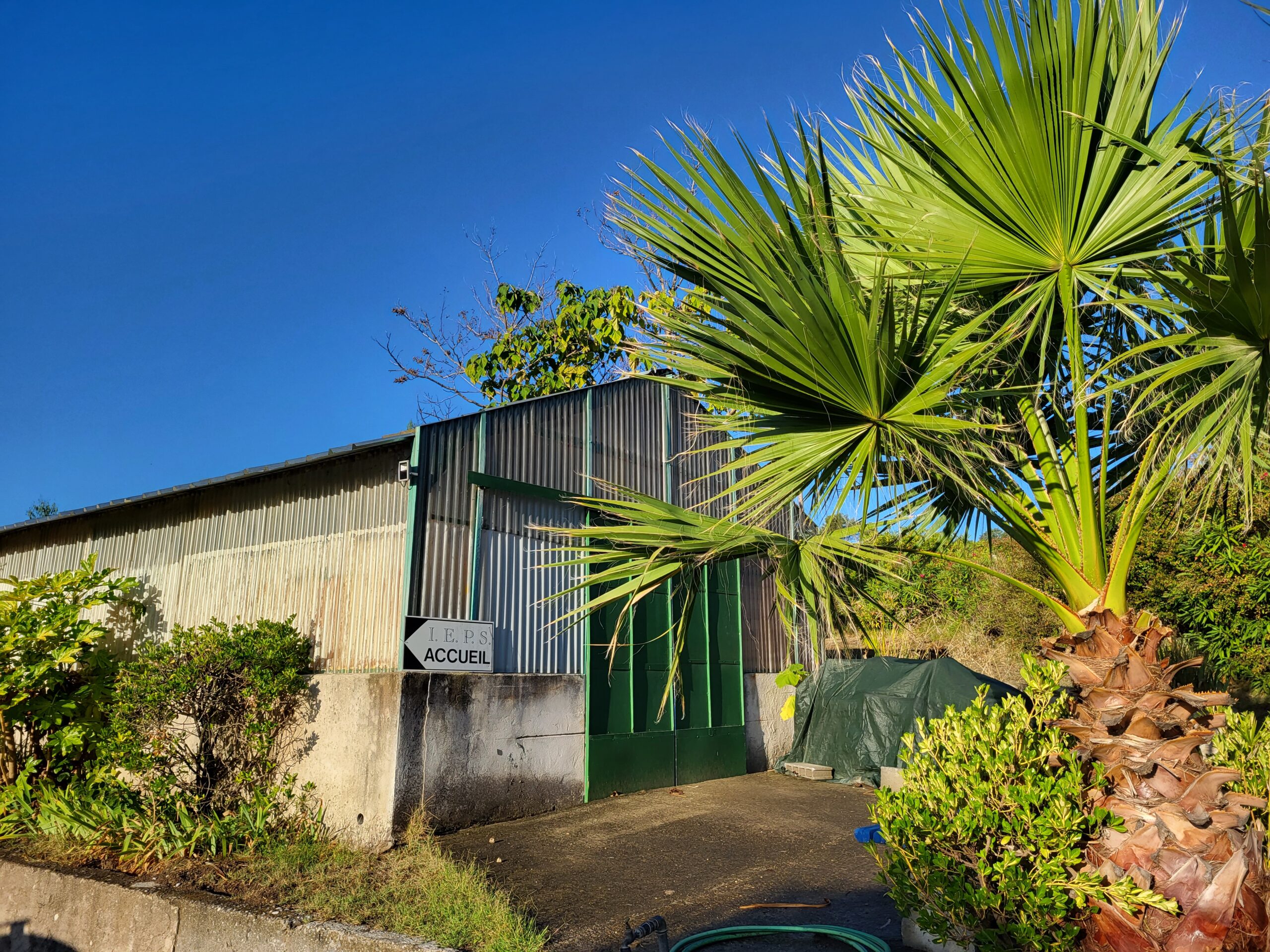 AFPJR - Voir le handicap autrement