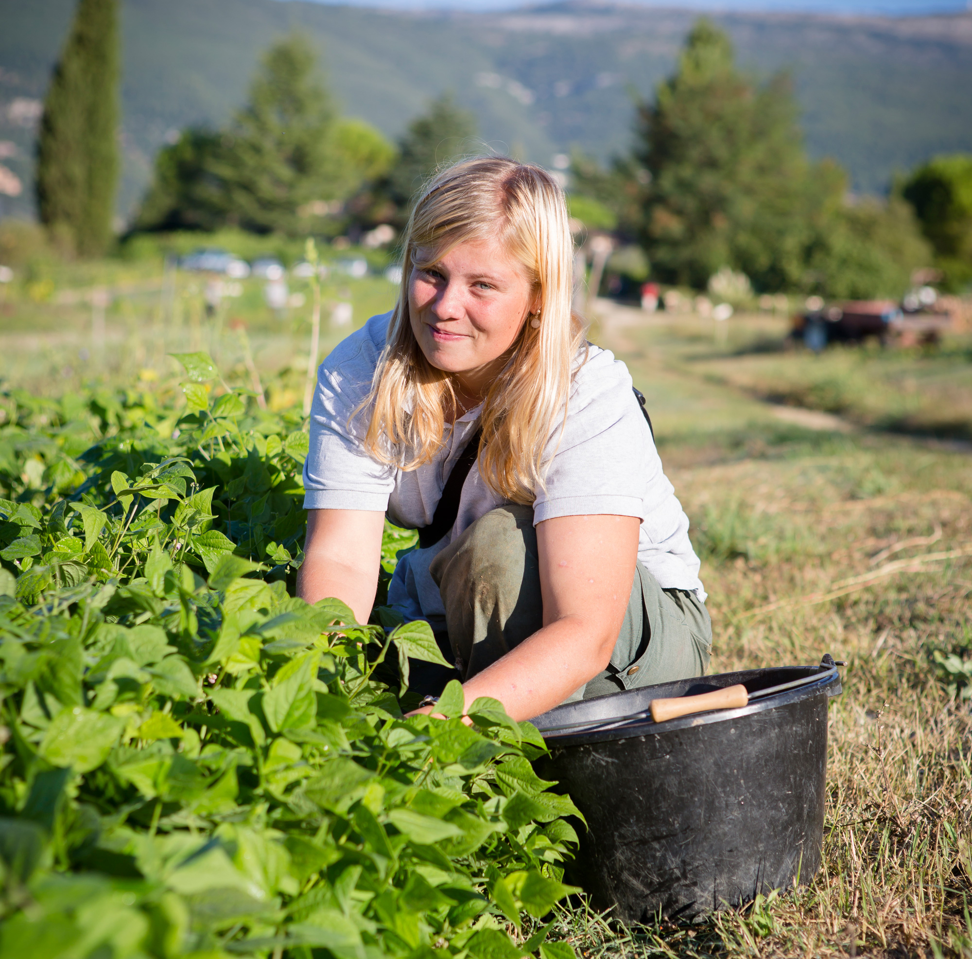 AFPJR - Voir le handicap autrement